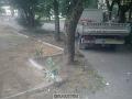 bramy 009